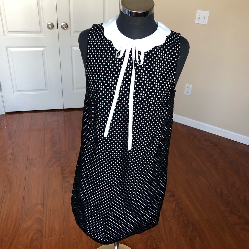 CeCe Cynthia Steffe Joelle Scallop Collar Dress